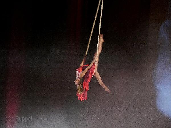 T-20140913-191829_P1720516-G aa.jpg